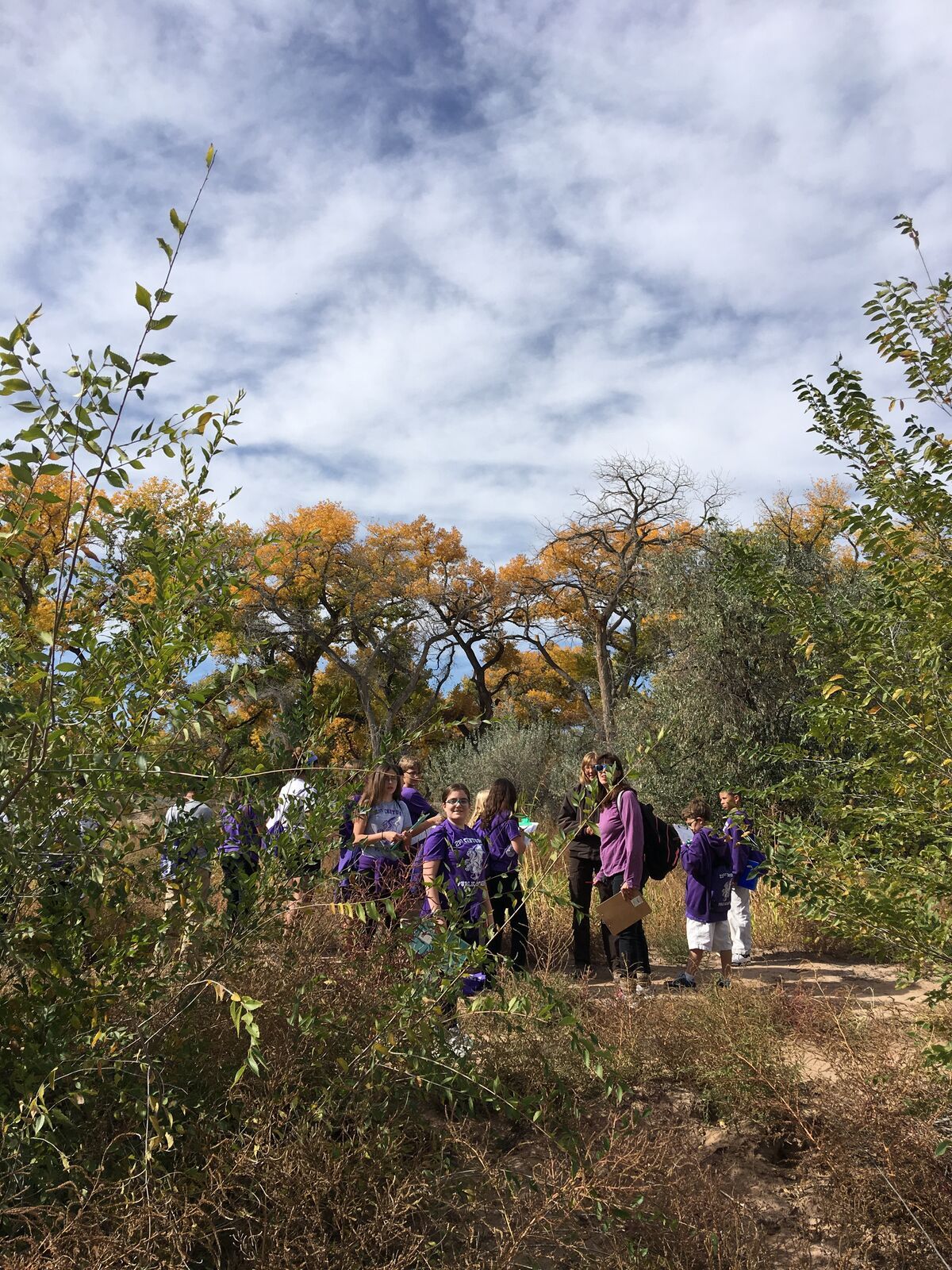 A group walks into cottonwoods under a bright, cloud-streaked sky.