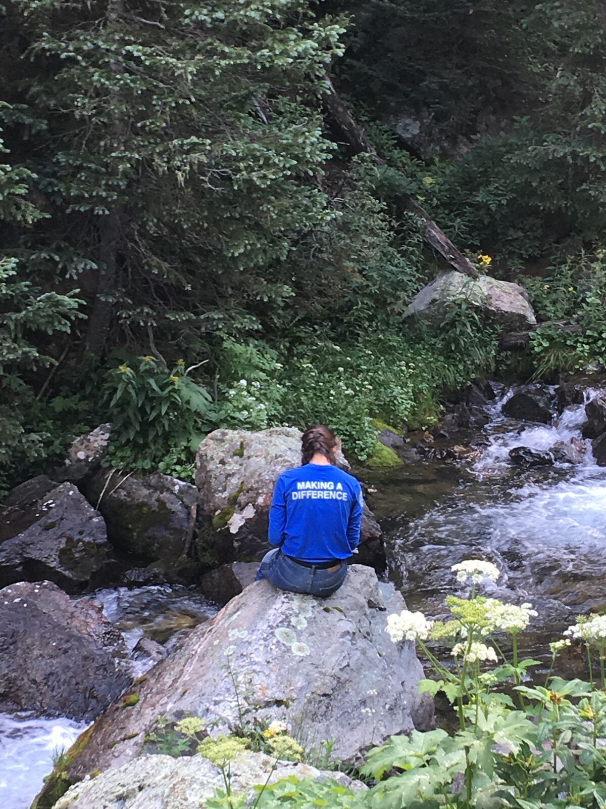 Someone in a blue crew shirt sits alone on a boulder above a rushing mountain creek, seen from behind.