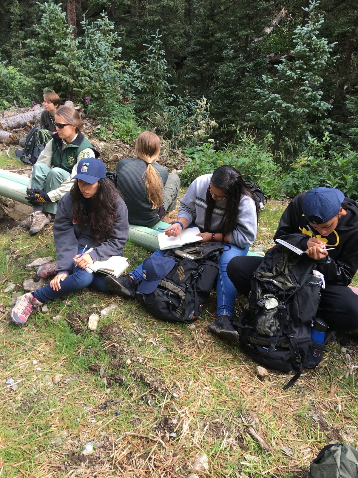 Kids sit in the grass at the edge of the forest, writing in their field journals.