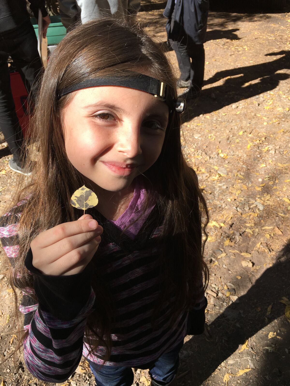A smiling kid in a headband holds up a yellow aspen leaf.