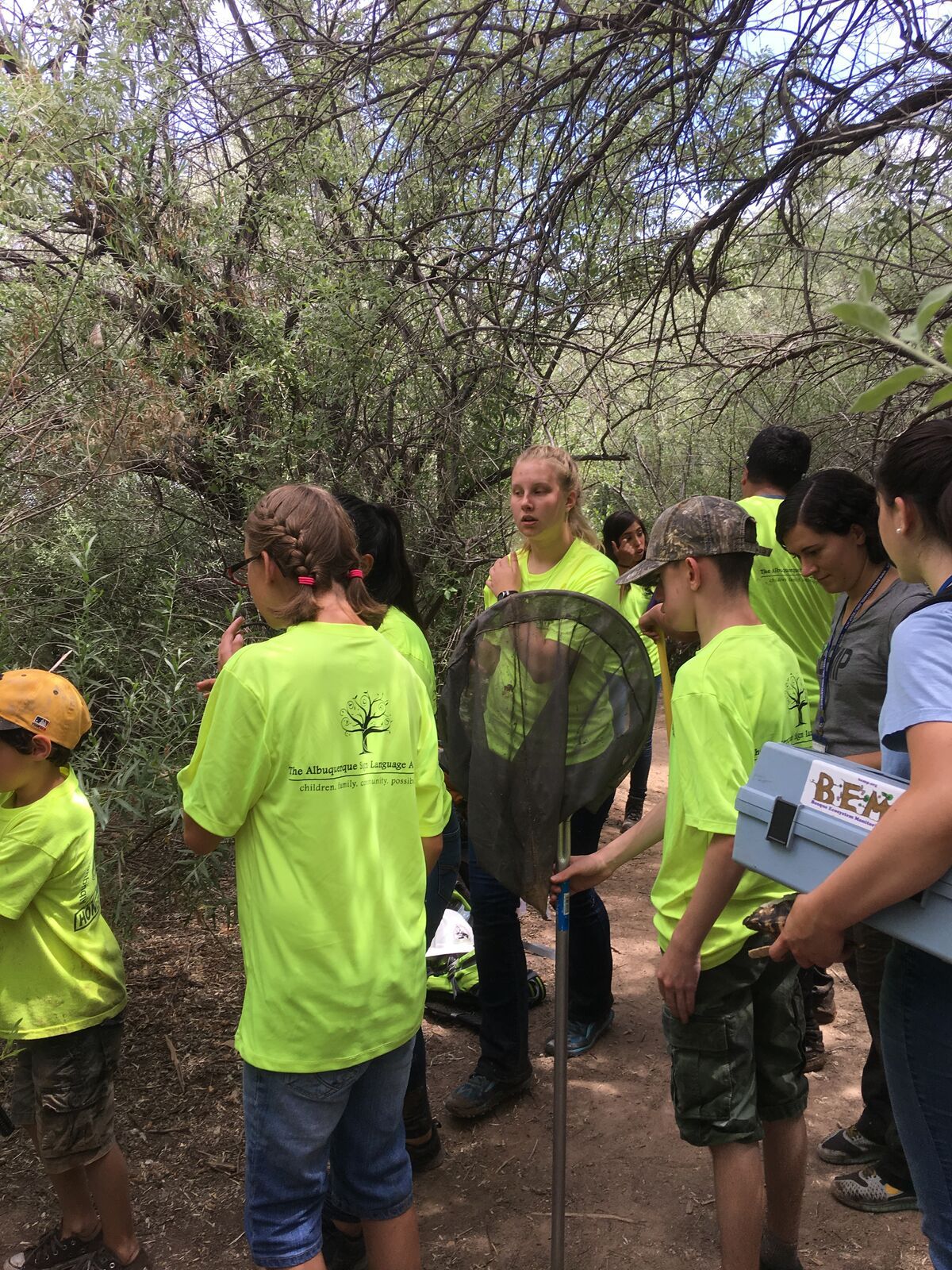 Kids with long-handled nets gather among the trees.