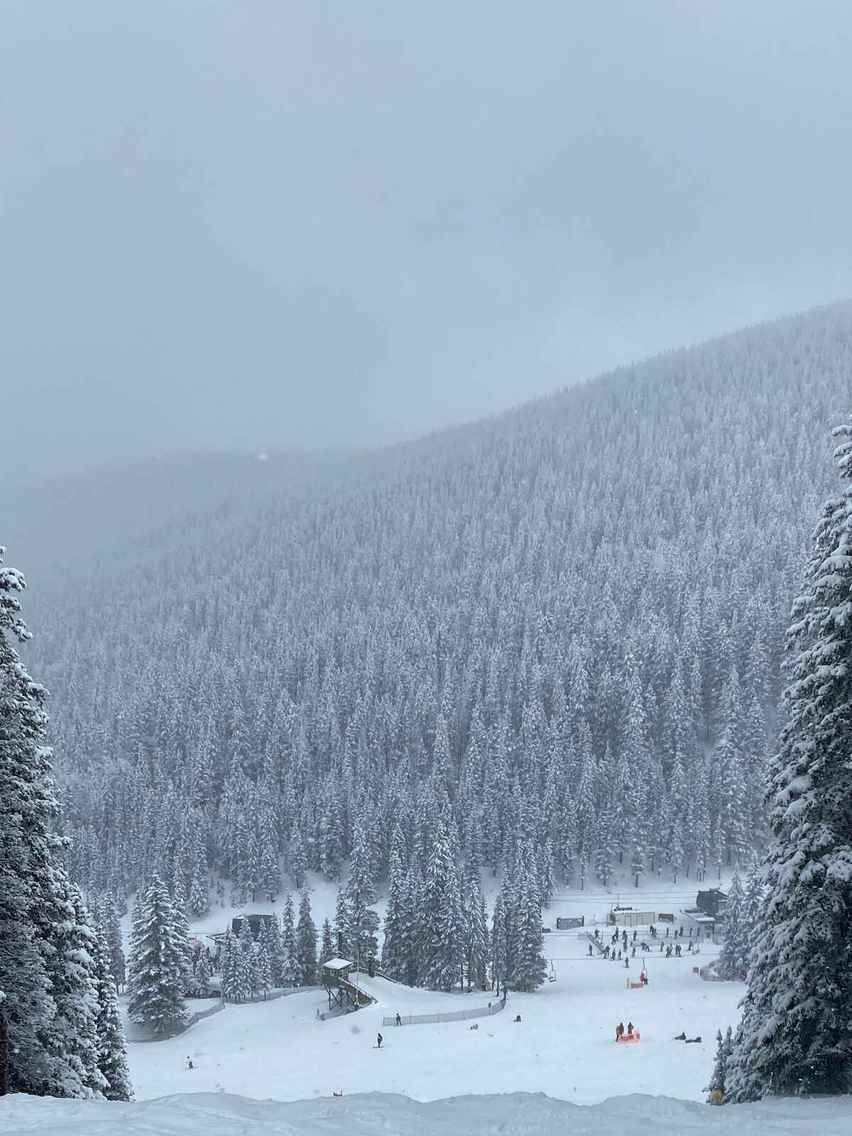 Looking down a snowy run at Ski Santa Fe, between firs heavy with snow, to the base area and its skiers.