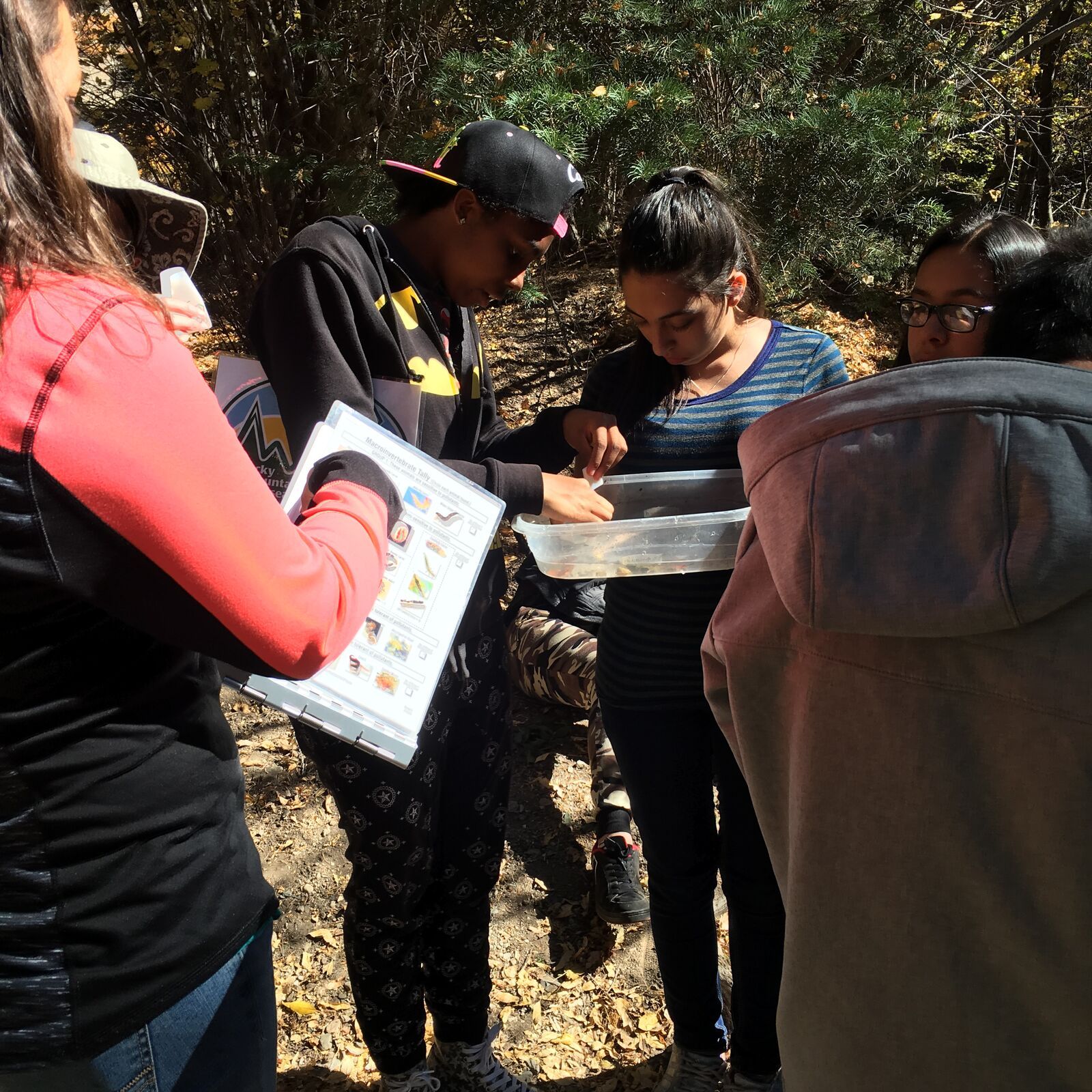 Kids lean over a white tray of creek water, matching what they find to an identification card.