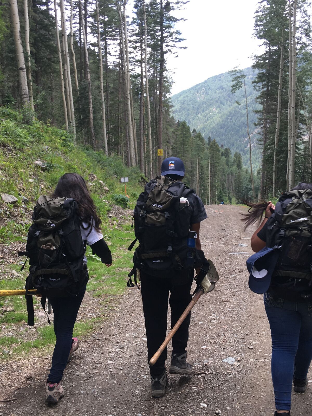 Three young people with packs and trail tools walk up a forest road between tall trees, seen from behind.
