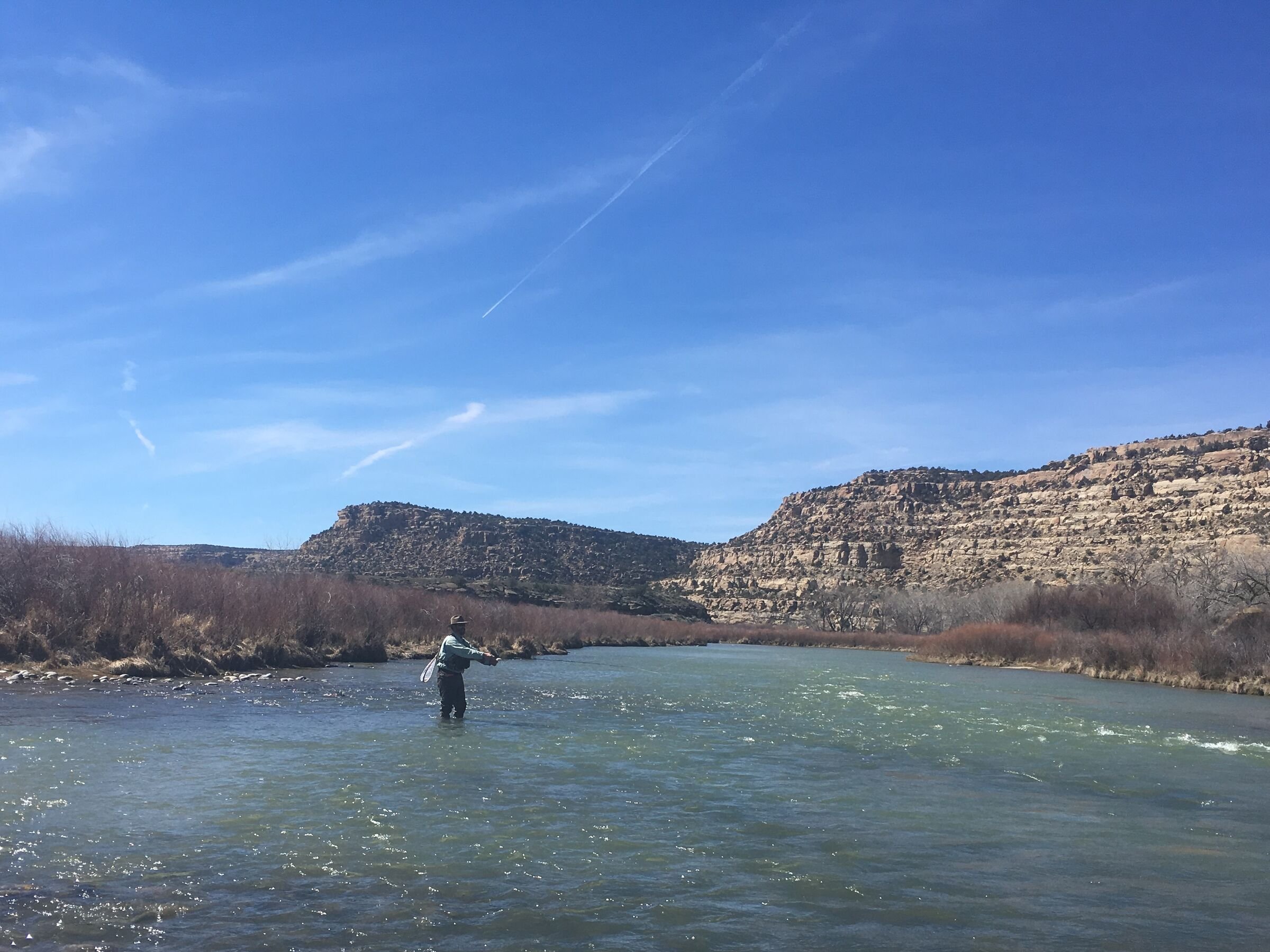 An angler wades the San Juan River below sandstone mesas.