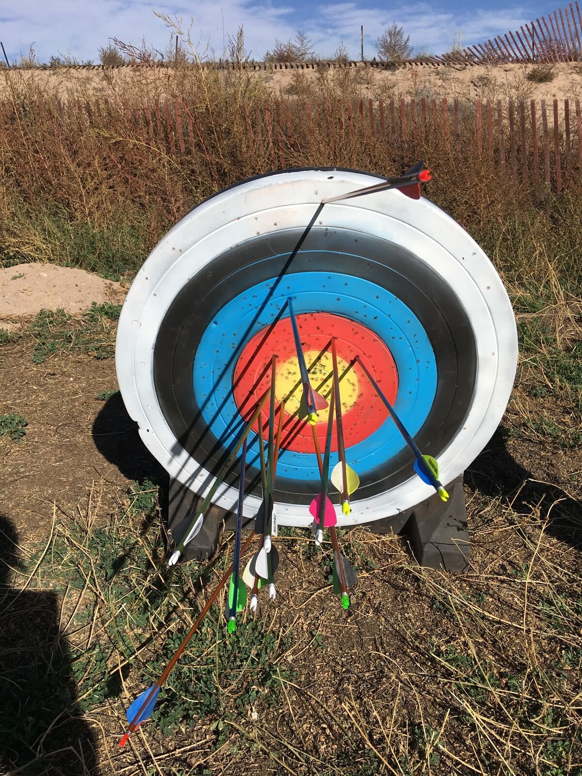 An archery target on dry grass with a cluster of arrows in the gold.
